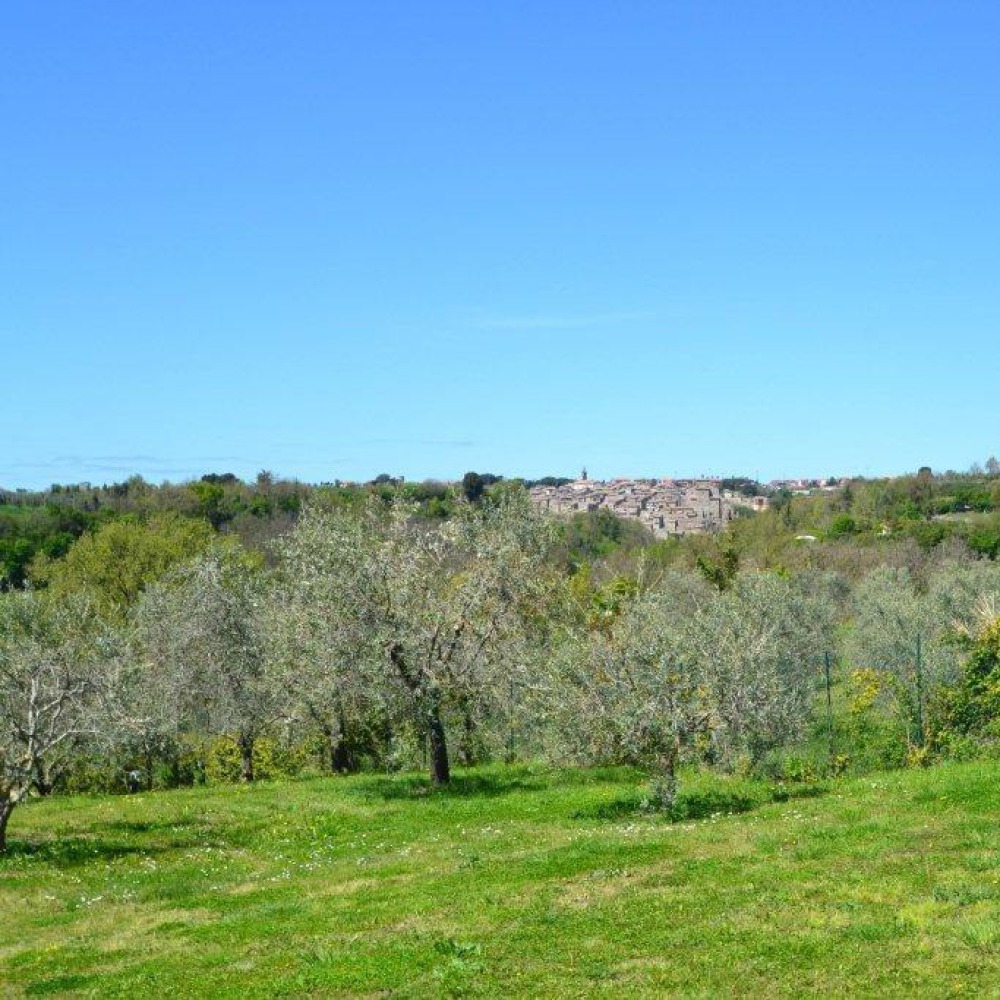 Villa con piscina coperta sul Lago di Bolsena