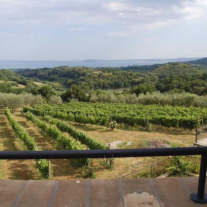 Villa & swimmingpool on the Bolsena Lake