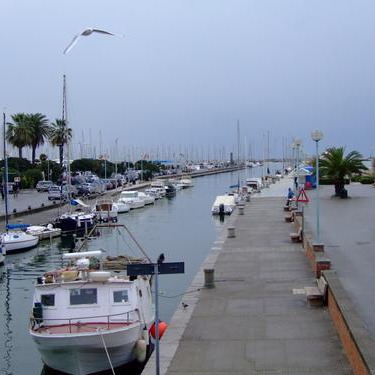 Sailing in Viareggio looking for dolphins