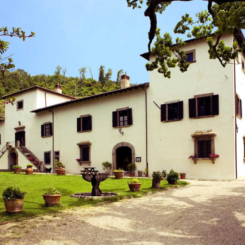 Villa/farm holiday on the hills of Florence