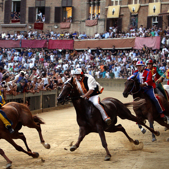 Three days guided tour in the medieval Siena