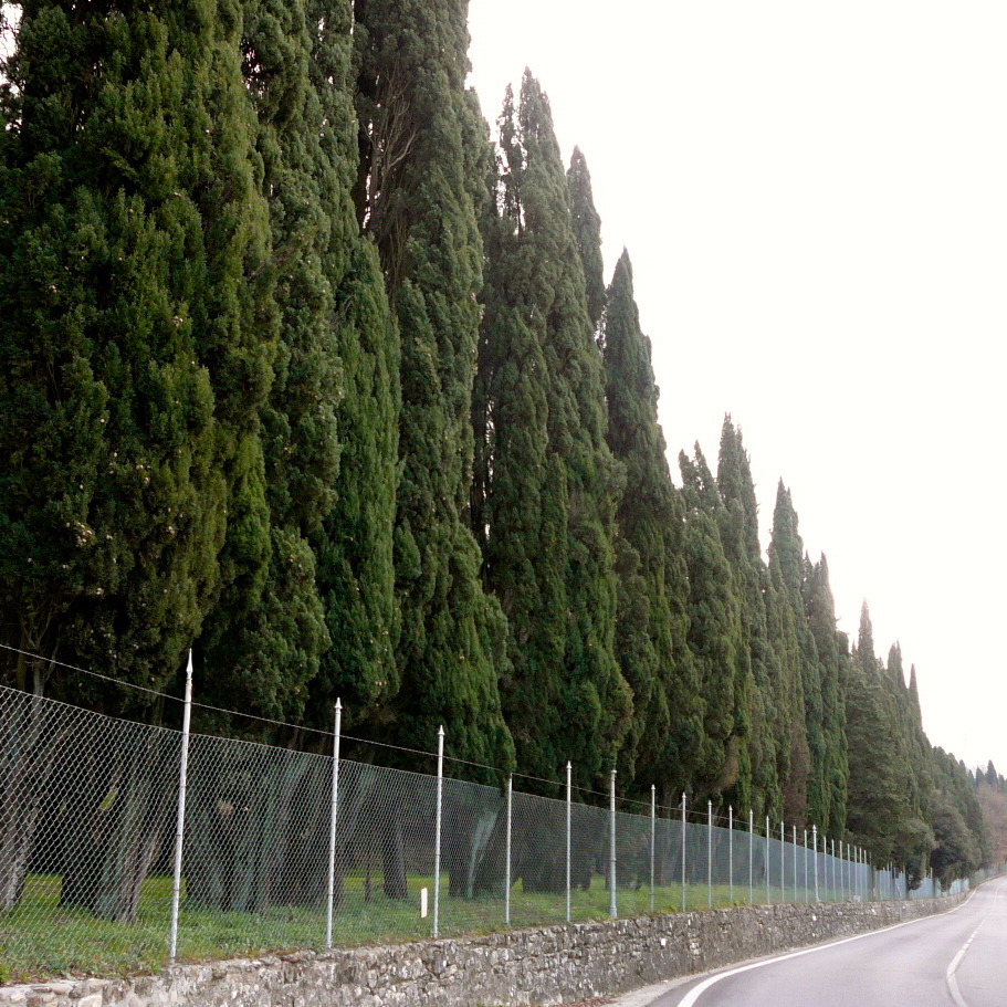 Antico Circuito Mugello in auto d'epoca