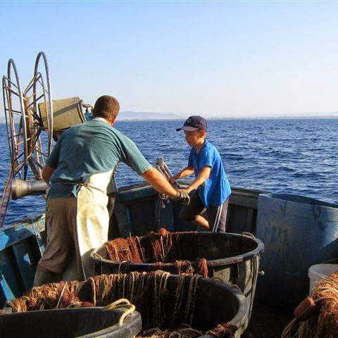 Pesca d'altura in barca a vela a Livorno