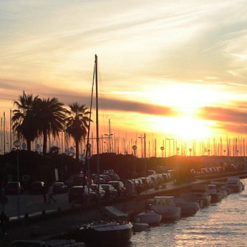 Sailing in Viareggio looking for dolphins