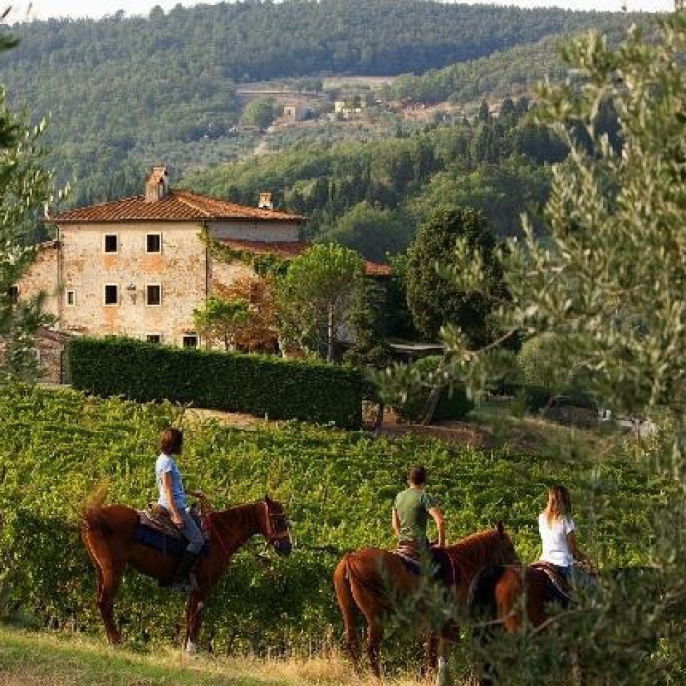 Bio Agriturismo di lusso con tante attività