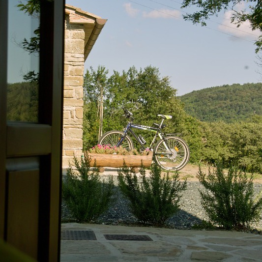 2 Country Stone Houses In a green Environment
