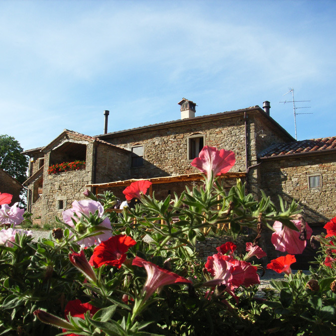 2 Country Stone Houses In a green Environment