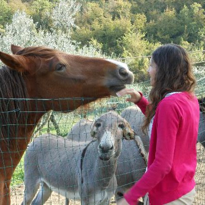 B&B in Chianti to rediscover themselves