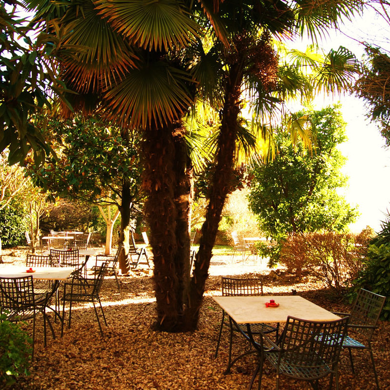 Homely historical hotel in Siena