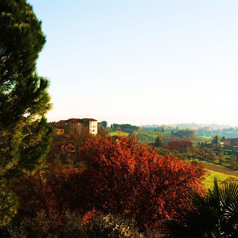 Homely historical hotel in Siena