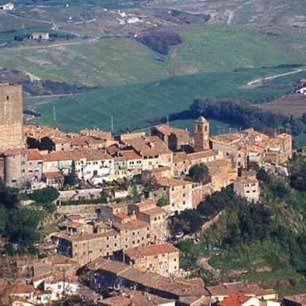 Tartufo day a Peccioli, Pisa