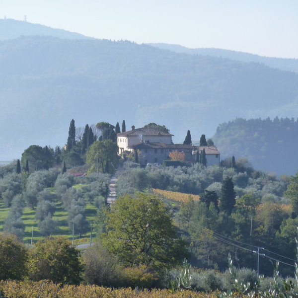 Elegant eco-friendly B&B hills of Florence