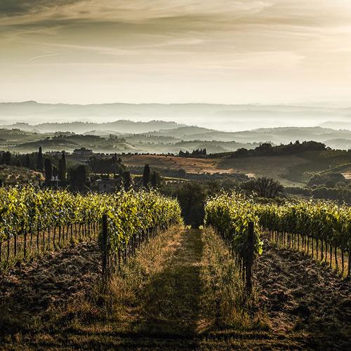 Residenza d'epoca e casali nella Valdelsa