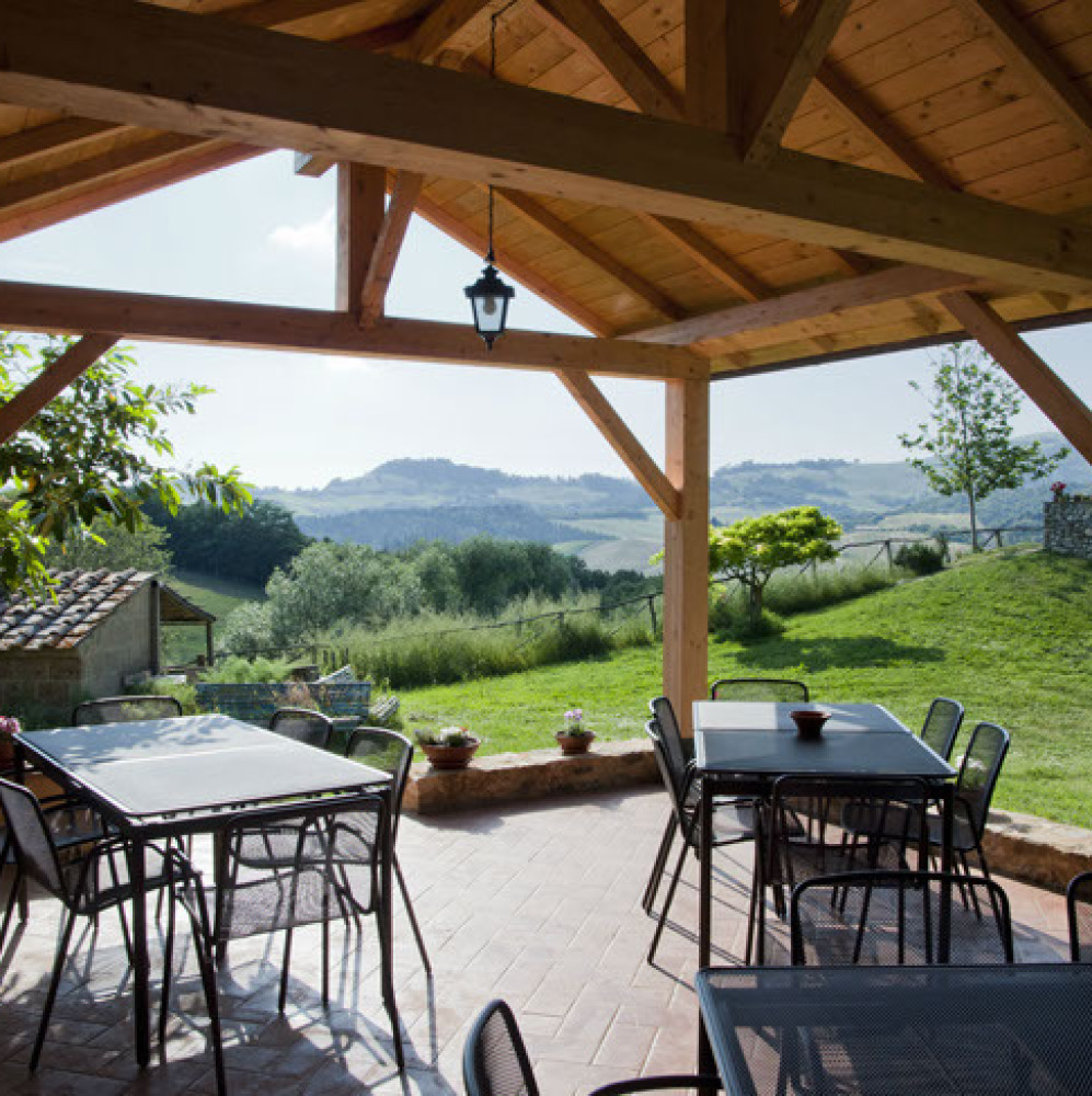 Farmhouse with animals, wine, woods and pool