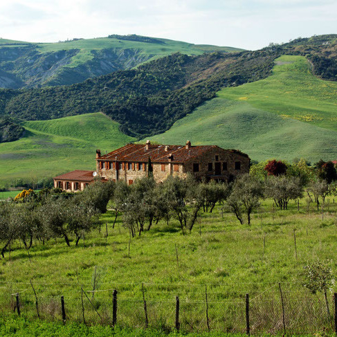 Farmhouse with animals, wine, woods and pool