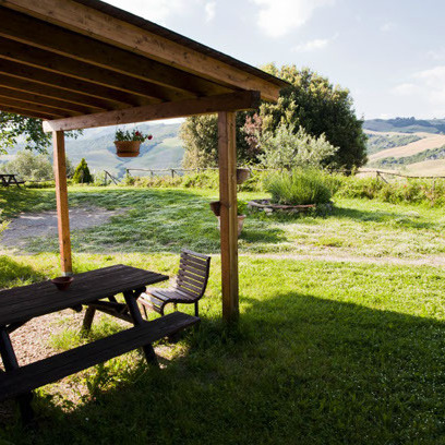 Farmhouse with animals, wine, woods and pool