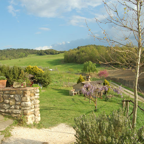 Farmhouse with animals, wine, woods and pool