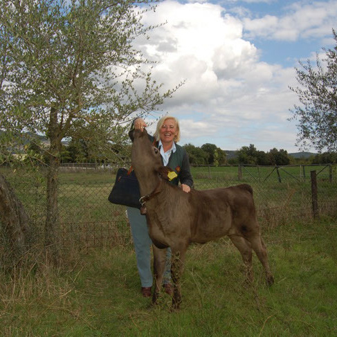 Fattoria con animali, vino, boschi