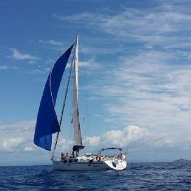 Sailing and fishing in Livorno