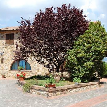 Villa in the countryside near Pisa