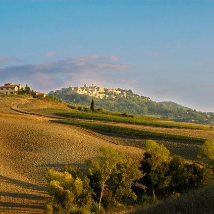 Casale sulle colline & vigne di Montepulciano