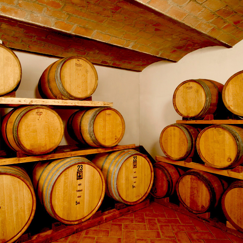 Appartamenti in fattoria viticola nel Chianti