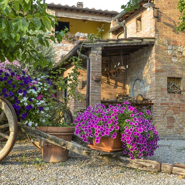 Camere e ristorante nella campagna senese