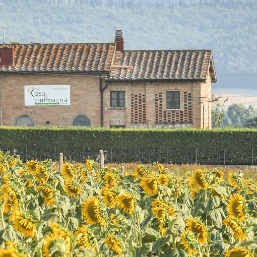 Camere e ristorante nella campagna senese