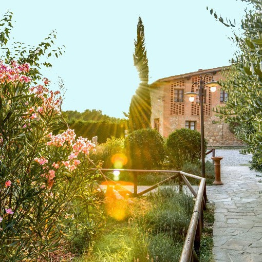 Rooms and food in the Siena countryside