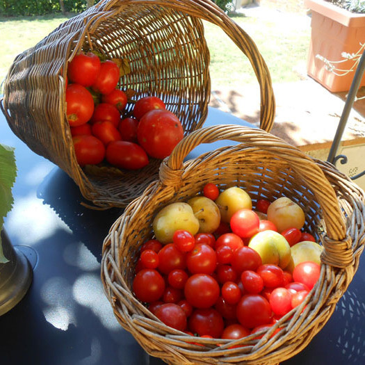 Country house &pool in Pistoia close Florence