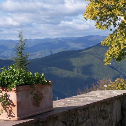 Agriturismo immerso nella natura e silenzio