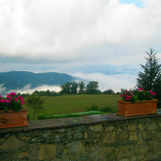 Agriturismo immerso nella natura e silenzio