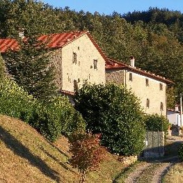 Countryhouse in quiet nature