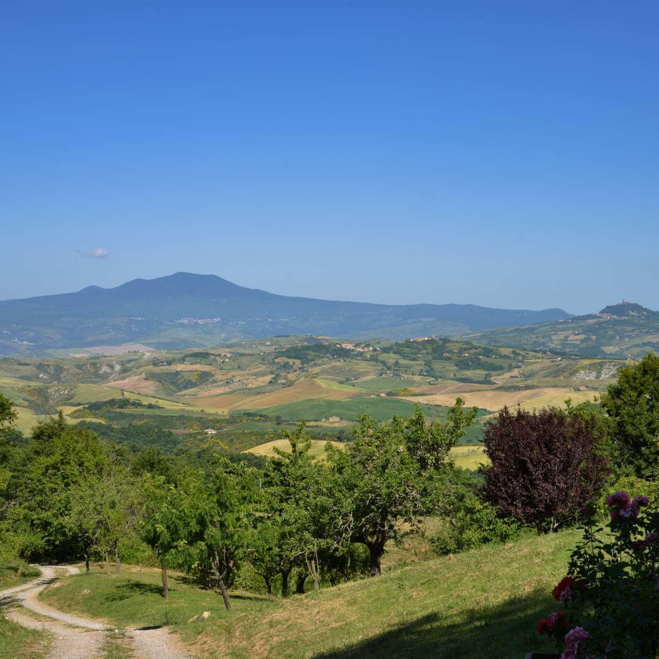 Villa in San Casciano dei Bagni - 14 people