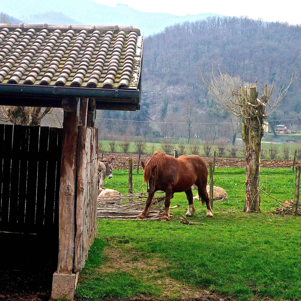 Village in the green Mugello