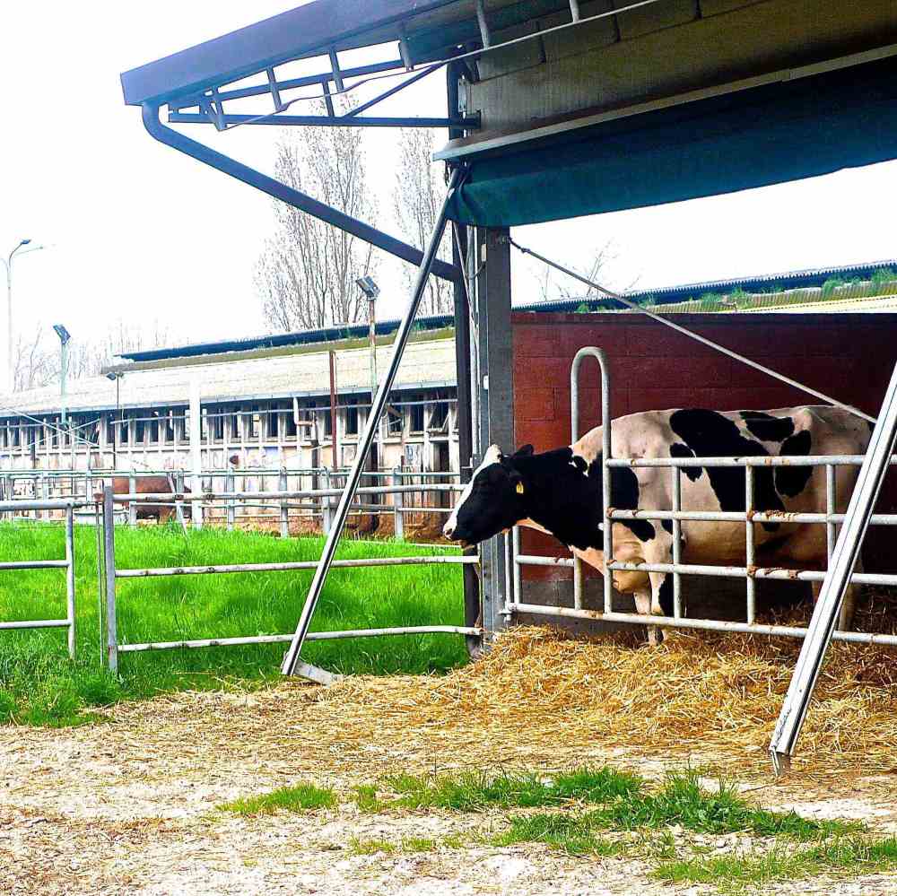 Villaggio nel verde del Mugello