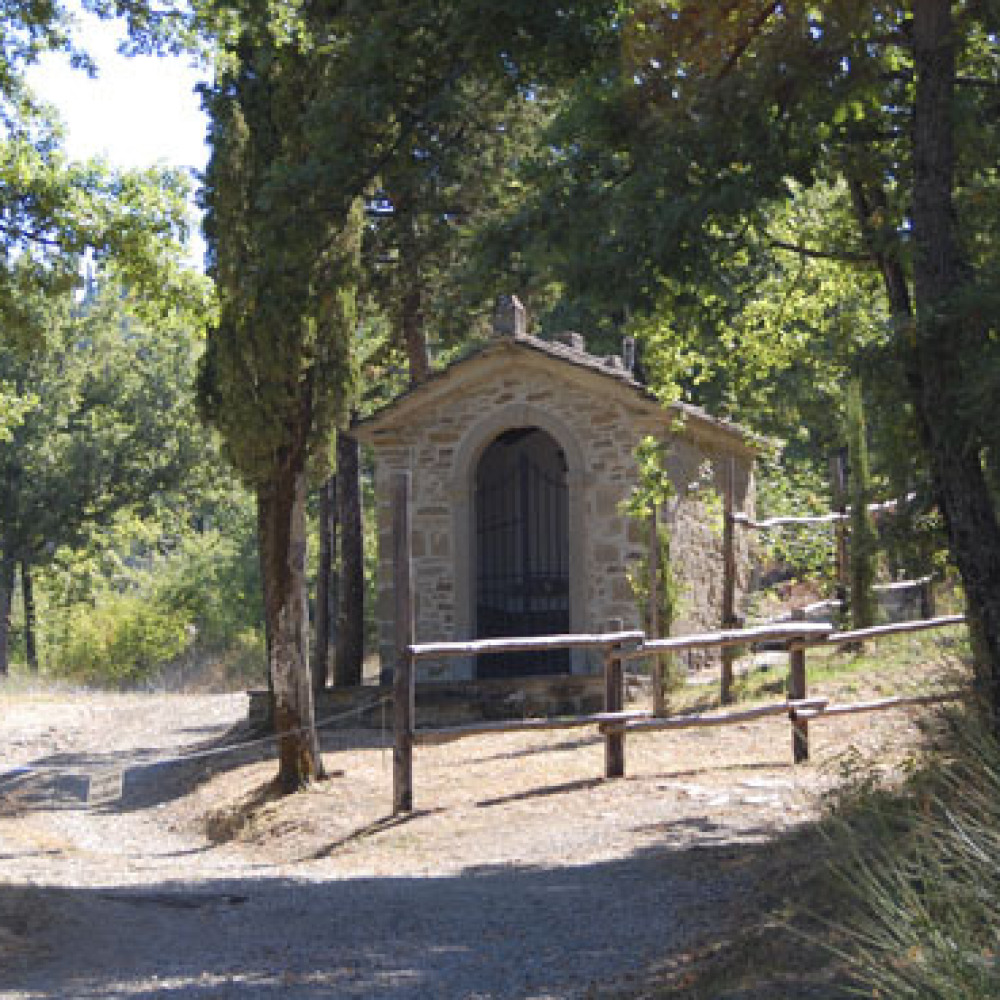 Agriturismo immerso nella natura e silenzio