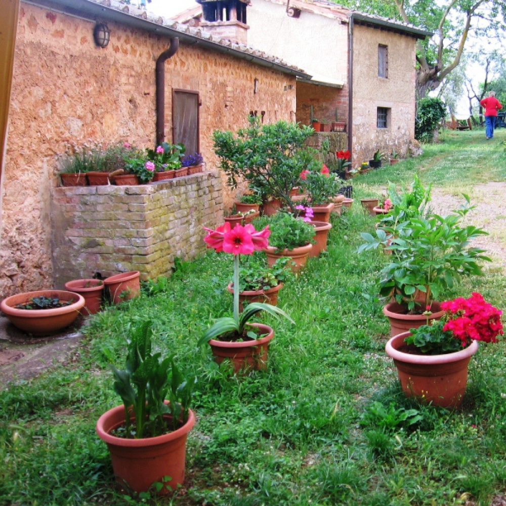 Bio agriturismo b&b nel senese