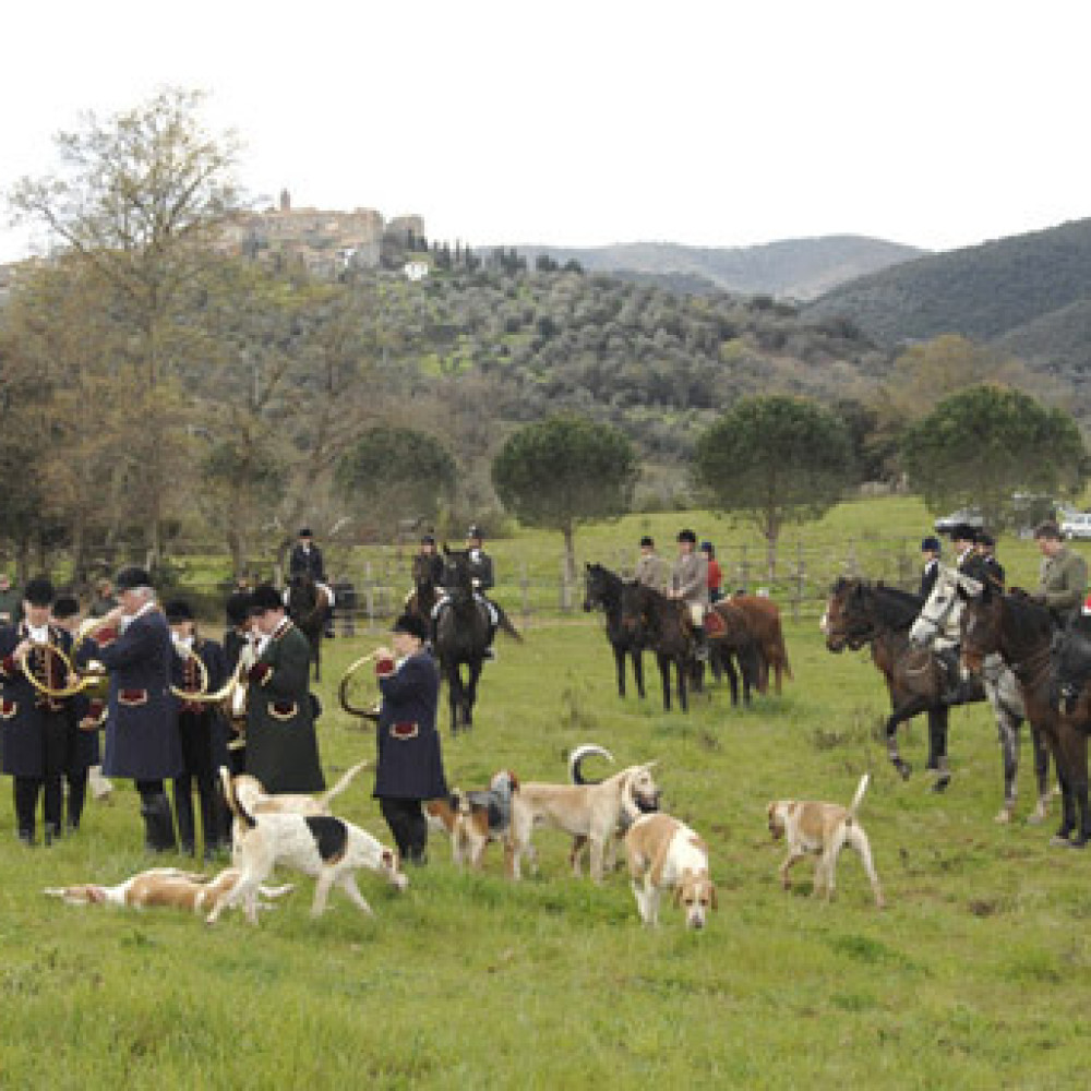 Apartment in a horse farm in Maremma