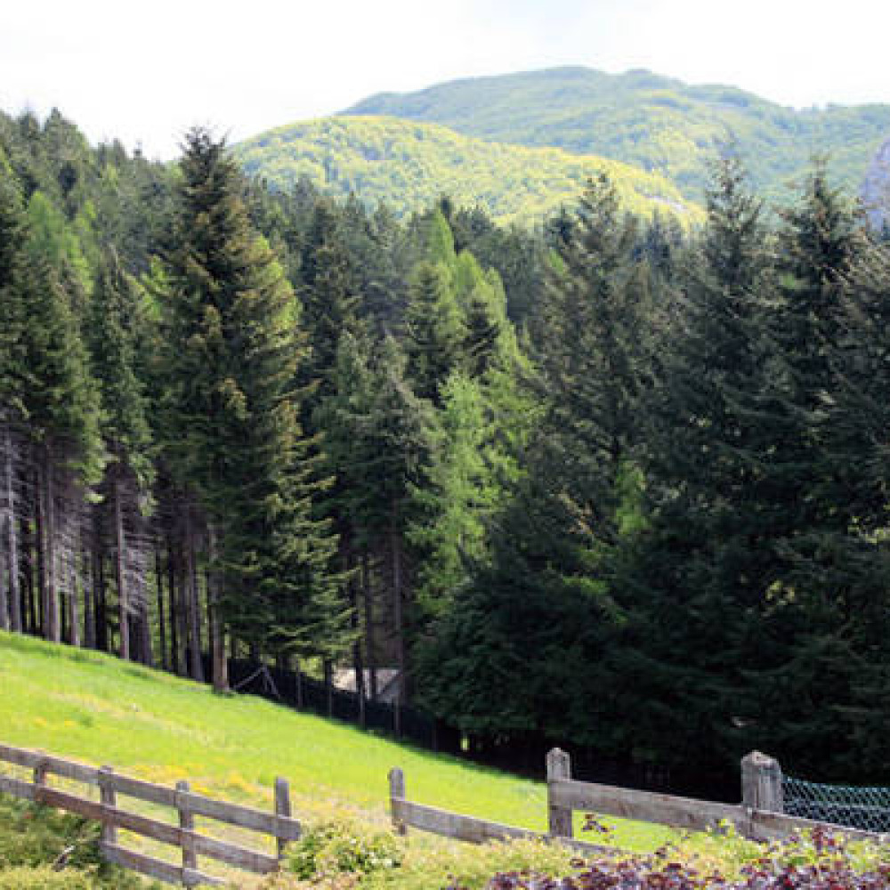 Villa in Mugello with mountain panorama